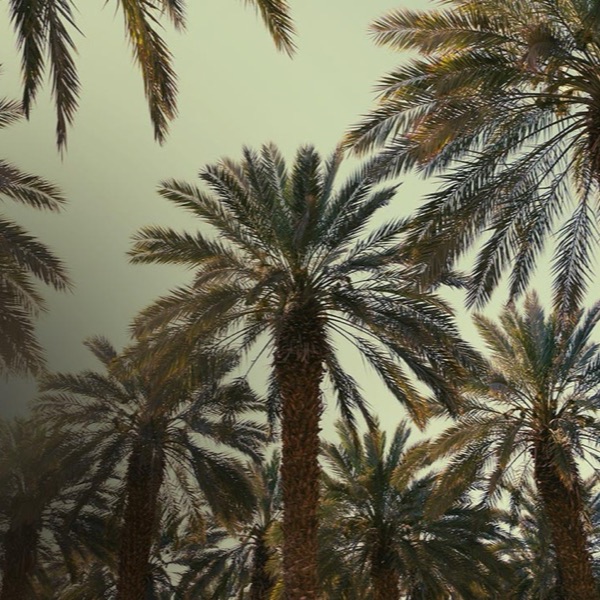 Al Foah